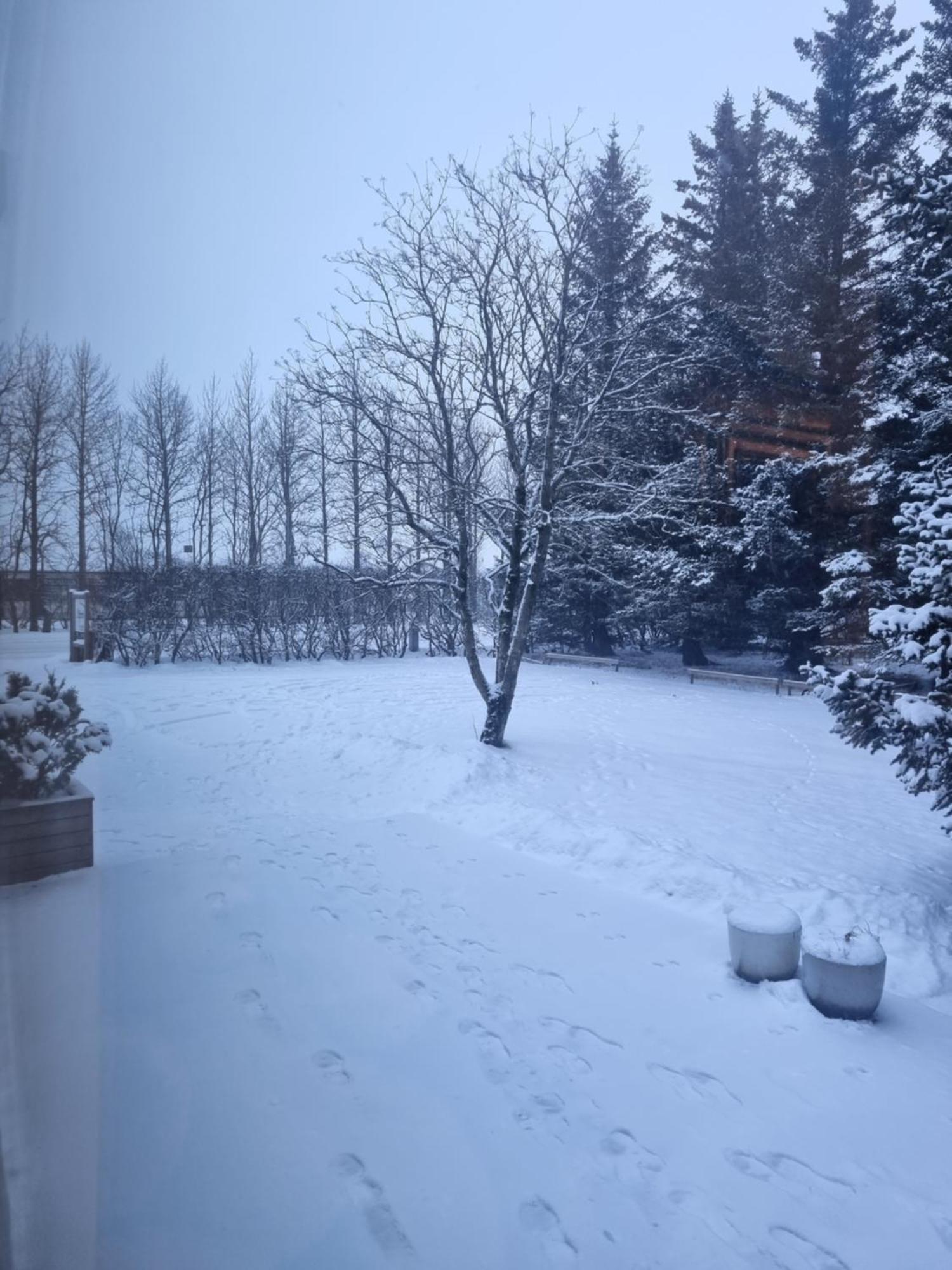 Spoi Guesthouse Hvolsvöllur المظهر الخارجي الصورة